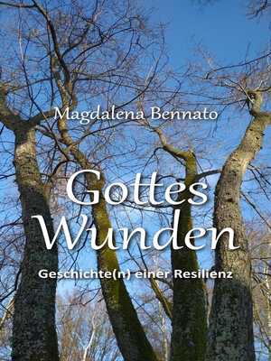 cover image of Gottes Wunden